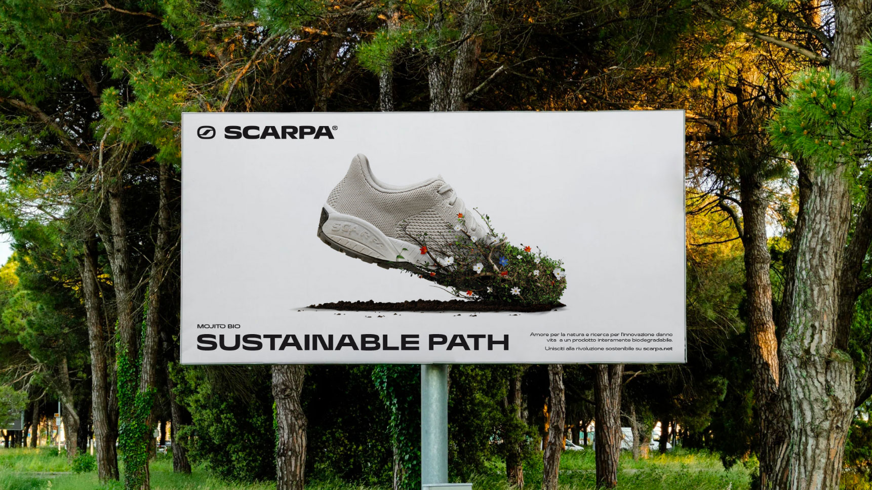 Scarpa 3