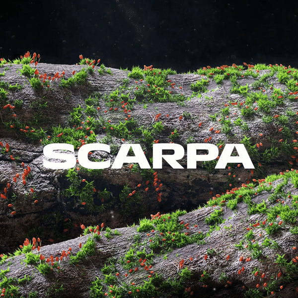 Scarpa