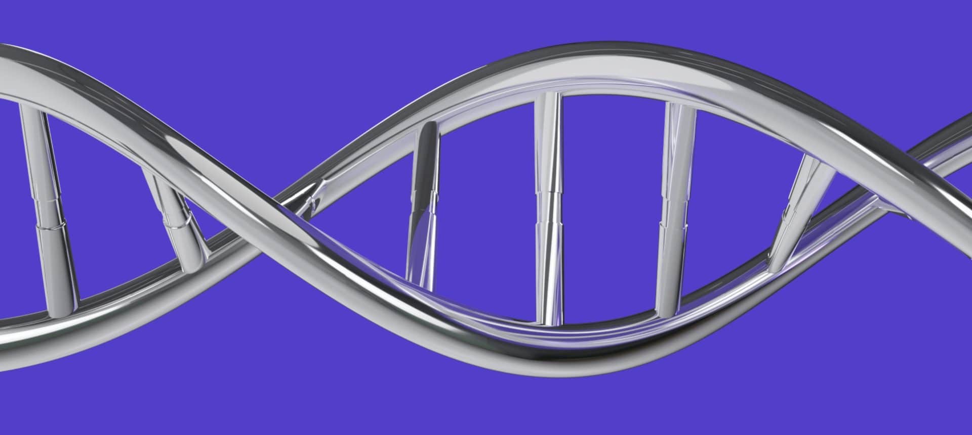 dna-modello-3d