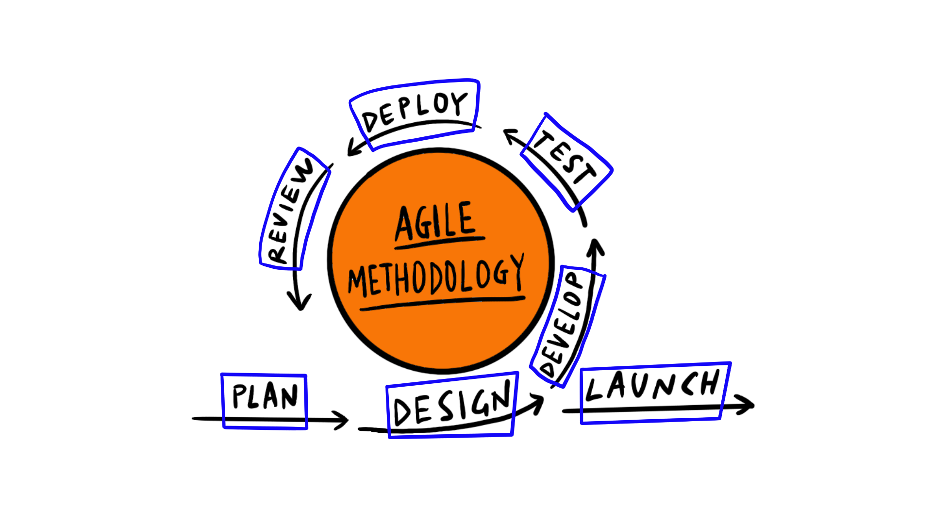 Sviluppo software metodologia Agile